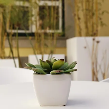 Hotel Salinas By Alboi Group 3*