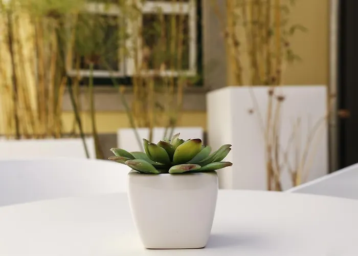 Hotel Salinas By Alboi Group 3*